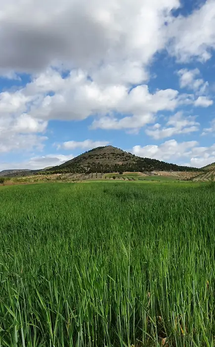 Hermoso paisaje en Almería